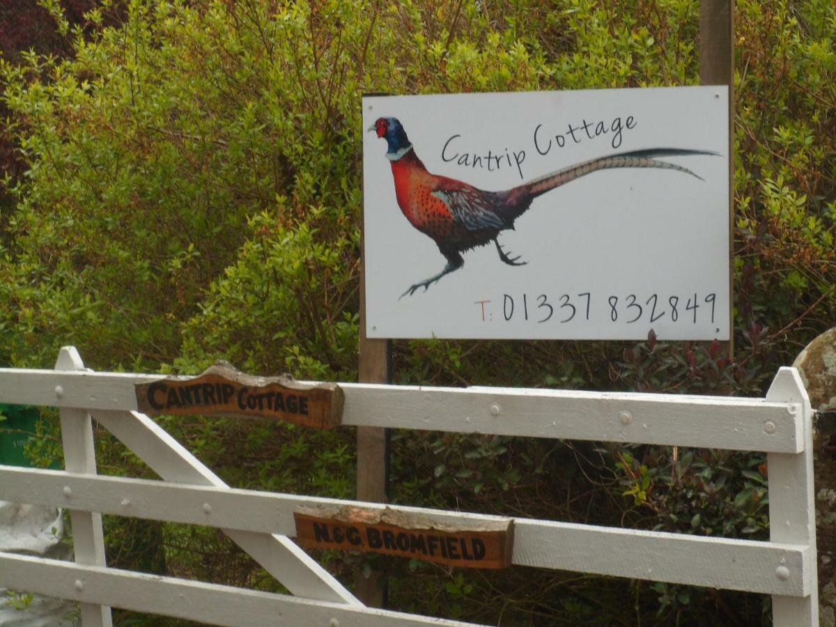 Cantrip Cottage 쿠퍼 외부 사진